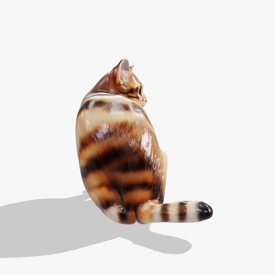 Realistic Domestic Cat 3D Model Pack